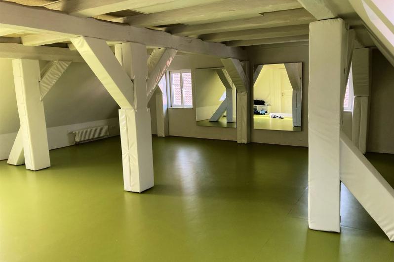 Balkenverkleidung im Mehrzweckraum - Prallschutz und Säulenschutz