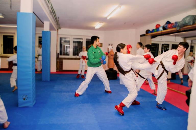 Karatematten und Säulenschutz für Shotokan Kampfsport