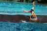 Wasserlaufmatte-Radschlag - in Sandwich-Bauweise für indoor und outdoor geeignet